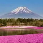 Despachante de Vistos - Visto Japão Despachante de Vistos - Visto Japão