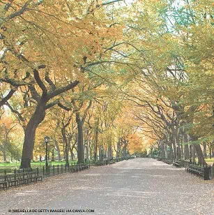 Central Park Central Park