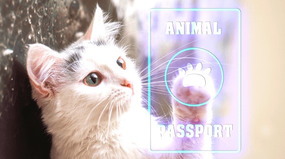 Passaporte de Cães e Gatos