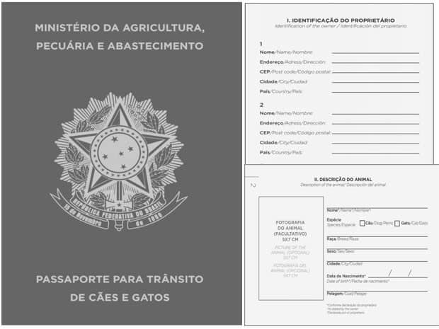 Passaporte para Animais Como é o passaporte para animais?