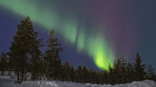 viajar para o canada