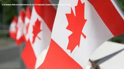 Visto Canadense exige cadastro Visto Canadense exige cadastro