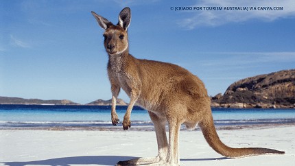 O que visitar na Austrália