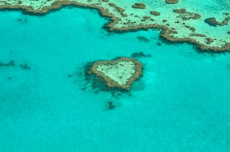 A grande barreira de corais O que visitar na Austrália