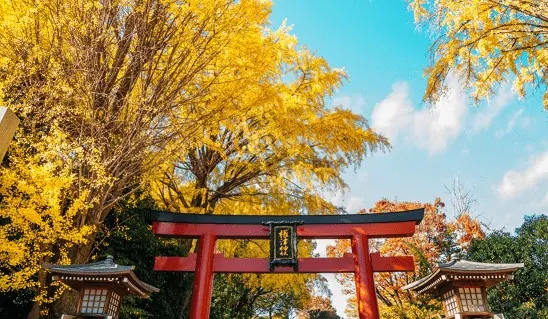Santuário Nezu Qual a melhor época para viajar para o Japão
