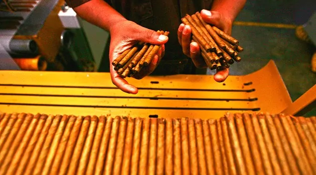 Fábrica de charuto Fábrica de charuto