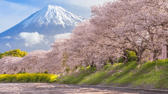 Onde fica o Monte Fuji