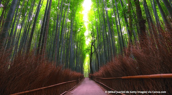 Arashiyama