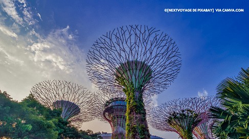 Viagem para Singapura 2022