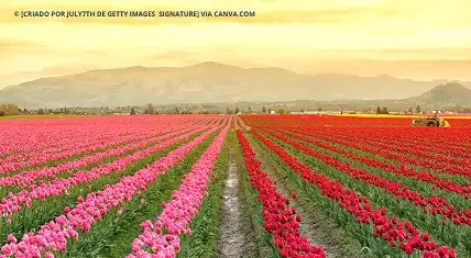 Vale de Skagit nos EUA Vale de Skagit nos EUA